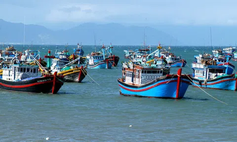 Hành động quyết liệt, quyết tâm gỡ 'Thẻ vàng' IUU trong năm 2024