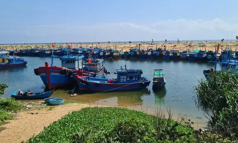 Chính phủ đẩy mạnh chương trình hành động chống khai thác thủy sản bất hợp pháp