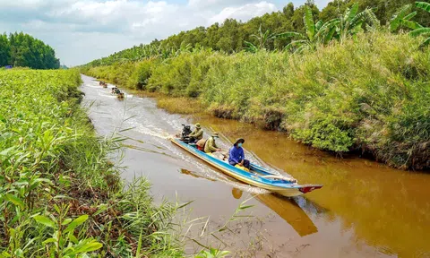 Khoảng 45.000 ha lâm phần rừng U Minh hạ ở mức báo cháy nguy hiểm, cực kỳ nguy hiểm