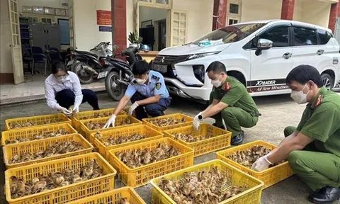 Triệt để ngăn chặn buôn lậu gia súc, gia cầm để bảo vệ nông dân và doanh nghiệp