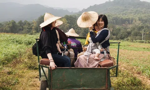 Du lịch nông nghiệp Hà Nội khai phá tiềm năng ven đô xanh