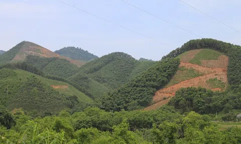 FAO hỗ trợ tỉnh Bắc Kạn phát triển nông, lâm nghiệp gắn với du lịch