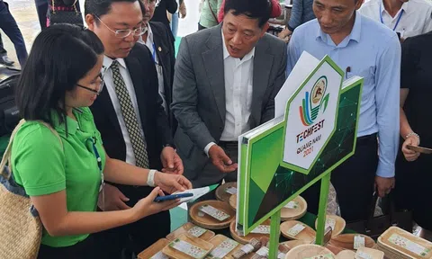 Doanh nghiệp phải chủ động tạo ra tín chỉ carbon và tham gia thị trường này