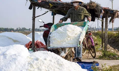 Nắng to muối được mùa kết tinh trắng đẹp nhưng diêm dân vẫn chồng chất khó khăn