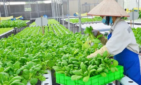 Hợp tác quốc tế để Việt Nam phát triển xanh, bền vững ngành nông nghiệp