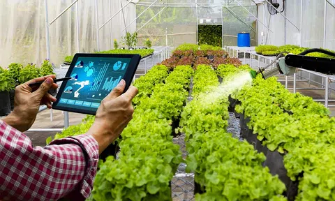 Số hóa ngành nông nghiệp: Nhận diện những điểm nghẽn để thúc đẩy tăng trưởng kinh tế bền vững