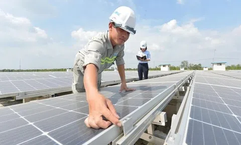 Khuyến khích doanh nghiệp tiêu dùng năng lượng xanh, năng lượng tái tạo để nhận được tín chỉ xanh