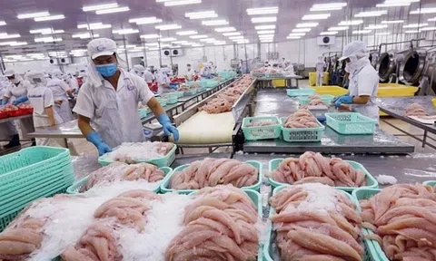 Xuất khẩu thủy sản sang Trung Quốc bất ngờ giảm mạnh do lạm phát và cạnh tranh nguồn cung