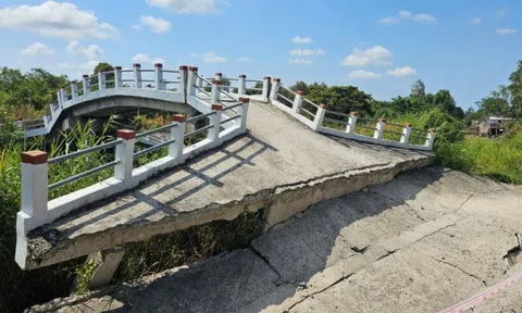 Giải pháp bảo vệ vùng ĐBSCL: Cấp bách nhưng phải tính kế sách trăm năm