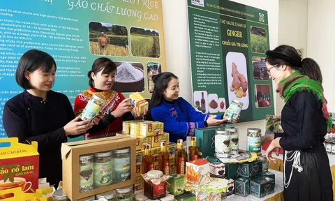 Ứng dụng công nghệ, đổi mới sáng tạo thúc đẩy nông sản Cao Bằng lan tỏa