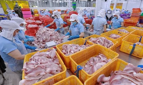 Đẩy mạnh xúc tiến thương mại nông lâm thủy sản giữa Việt Nam và Hoa Kỳ