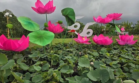 Lễ hội sen lan tỏa thương hiệu “Đồng Tháp - Đất Sen hồng”