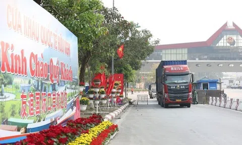 Hàng hóa xuất khẩu qua cửa khẩu Lạng Sơn đạt trên 22 tỷ USD, hoa quả tươi chiếm ưu thế