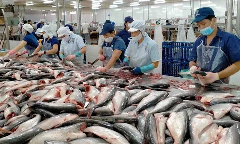 Thủy sản Việt Nam khẳng định vị thế từ chất lượng hướng tới mục tiêu xuất khẩu 14 -16 tỷ USD