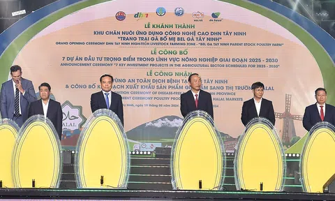 Công nhận vùng an toàn dịch bệnh tỉnh Tây Ninh thúc đẩy chăn nuôi công nghệ cao và gia tăng xuất khẩu