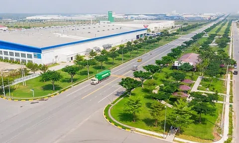 Bình Dương thu hút gần 4.300 dự án FDI, chuyển hướng ưu tiên dòng vốn xanh