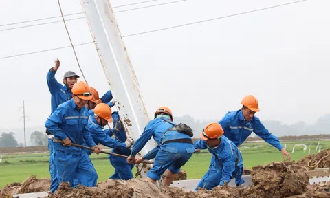 Thủ tướng chốt thời điểm đóng điện đường dây 500 kV mạch 3 trước ngày 30/6