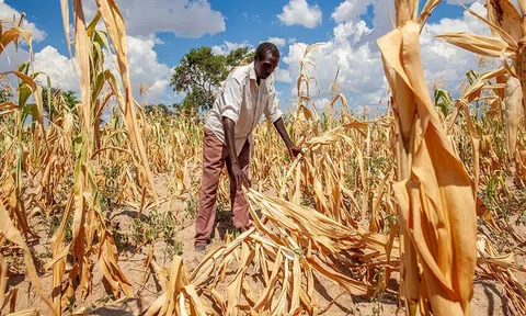Hiểm họa về khí hậu cực đoan, thế giới kêu gọi hỗ trợ để đáp ứng các nhu cầu nhân đạo cấp bách