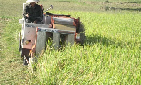 Cơ giới hóa nông nghiệp khó đồng bộ khi đường nhỏ, ruộng manh mún