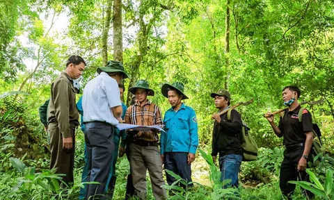 Tăng mức hỗ trợ tiếp thêm động lực trong công tác bảo vệ và phát triển rừng