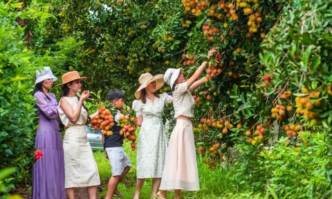 ‘Thủ phủ’ trái cây Đồng Nai công bố Lễ hội trái cây 2024, đón hàng vạn du khách