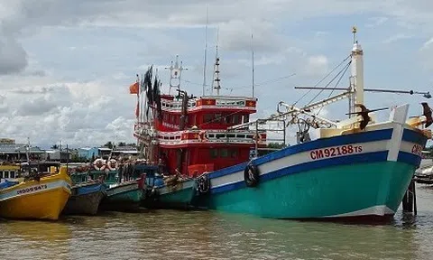 Tăng cường quản lý, điều tra và xử lý nghiêm các tàu cá các vi phạm về thiết bị giám sát hành trình