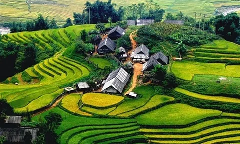 Vùng Trung du và Miền núi phía Bắc hướng tới hình mẫu phát triển xanh của cả nước