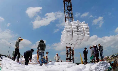 Tình hình thời tiết, thủy văn là thách thức cho mục tiêu xuất khẩu 8 triệu tấn gạo