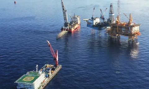 Phát triển điện gió ngoài khơi cần đột phá từ chính sách và chú trọng tỷ lệ nội địa hóa