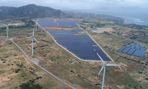 EU tiếp tục hỗ trợ Ninh Thuận phát huy lợi thế trong lĩnh vực năng lượng tái tạo