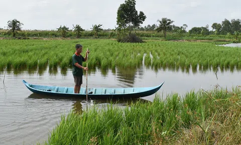 Kinh tế tuần hoàn sẽ góp phần hóa giải thách thức từ biến đổi khí hậu ở ĐBSCL