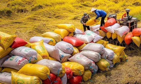 Việt Nam kỳ vọng xuất khẩu khoảng 7,6 triệu tấn gạo trong năm 2024
