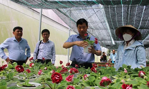 Ứng dụng công nghệ thông minh để nâng tầm giá trị hoa kiểng