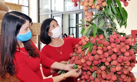 Xuất khẩu nông sản và cơ hội đột phá các thị trường chất lượng cao