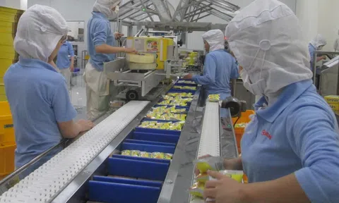 Xuất siêu 8,01 tỷ USD, thu hút FDI đạt 11 tỷ USD là những dấu ấn tăng trưởng kinh tế 5 tháng qua