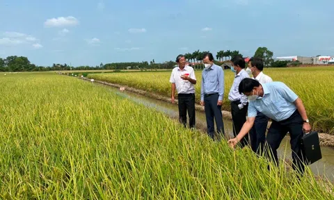 Cần giúp doanh nghiệp, người dân hiểu rõ về giảm phát thải khí nhà kính và thị trường Carbon