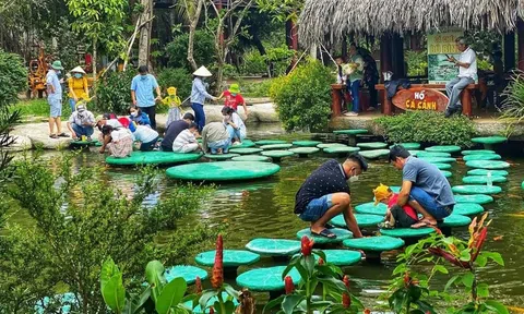 Tích hợp phát triển du lịch nông nghiệp: Nâng cao giá trị, khơi dậy tình yêu nông nghiệp, nông thôn