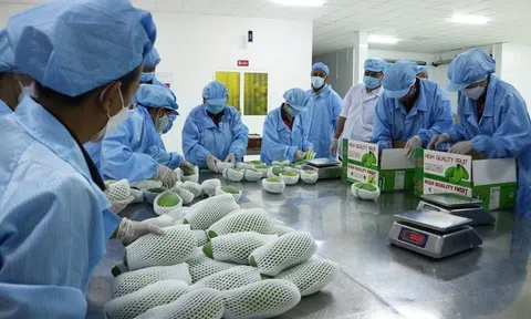 Cơ hội thúc đẩy xuất khẩu những thị trường tiềm năng khu vực Đông Bắc Á