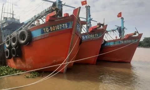 Tiền Giang gần 100% tàu cá đã gắn thiết bị giám sát hành trình, không có tàu cá vi phạm IUU