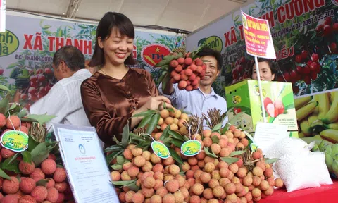 Cần chính sách đột phá trong liên kết thương mại để phát huy các lợi thế khu vực đồng bằng sông Hồng