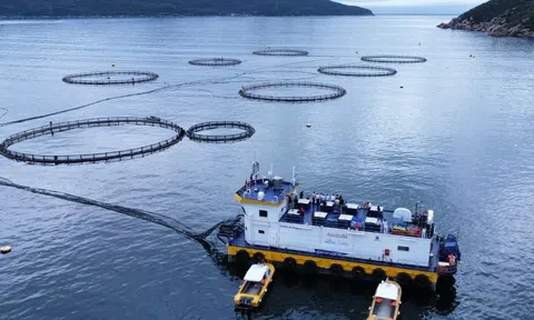 Phát triển bền vững “mạnh về biển giàu từ biển” cần tập trung vào quá trình nuôi xa biển