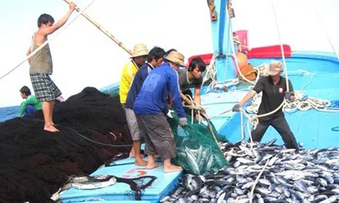 Cuộc chiến chống khai thác IUU: Cần sự hợp tác của các quốc gia và nỗ lực của cộng đồng quốc tế