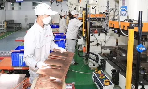 Nghiên cứu các gói chính sách hỗ trợ doanh nghiệp và thúc đẩy các động lực tăng trưởng mới