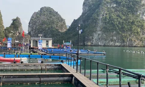 Na Uy hỗ trợ Việt Nam phát triển hiệu quả, bền vững ngành công nghiệp nuôi biển