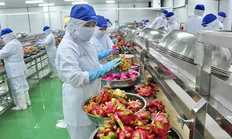 Xuất khẩu tăng trưởng đều ở các mặt hàng chủ lực, trong 5 tháng đạt kim ngạch 156,77 tỷ USD