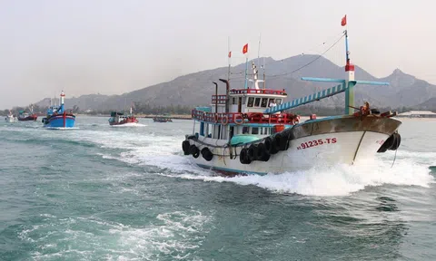 Ninh Thuận quyết liệt chống khai thác thủy sản bất hợp pháp, cùng cả nước gỡ 'thẻ vàng'