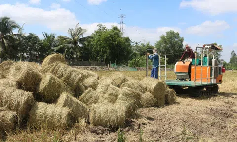 Phát triển kinh tế tuần hoàn trong sản xuất và chế biến gạo lúa gạo