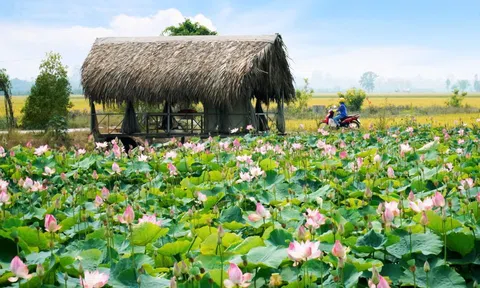 Đồng Tháp nỗ lực đi tiên phong kiểu mẫu về nông nghiệp sinh thái