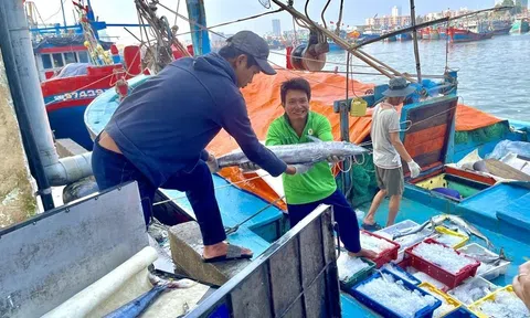 EC dời lịch kiểm tra IUU tại Việt Nam vào khoảng tháng 9, 10 năm nay