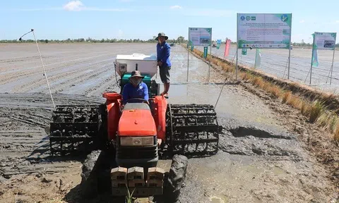 Khởi động Đề án chuyên canh lúa chất lượng cao và phát thải thấp, kỳ vọng thúc đẩy tăng trưởng xanh